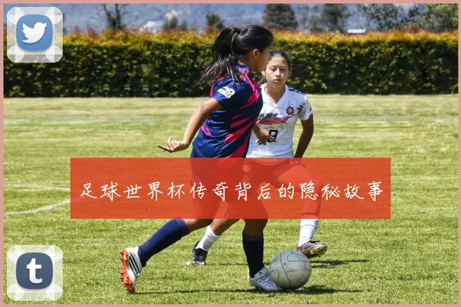 足球世界杯传奇背后的隐秘故事