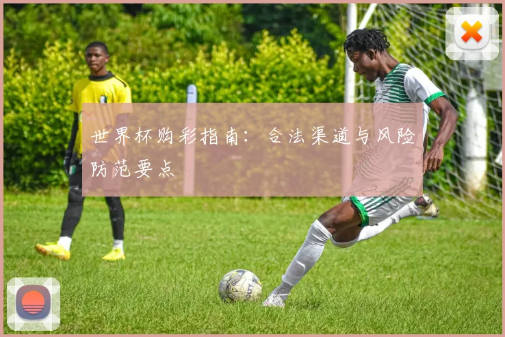 世界杯购彩指南：合法渠道与风险防范要点