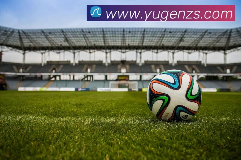 世界杯官网平台平台生态图